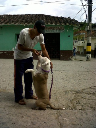 Practicando El saludo MIlitar